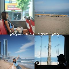 Having Moment User Photo