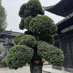 李家厨房·故乡店 User Photo