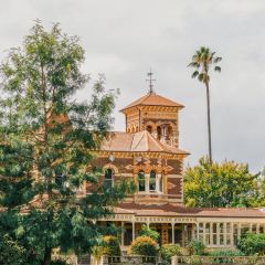 Ripponlea Fish Supply張用戶圖片