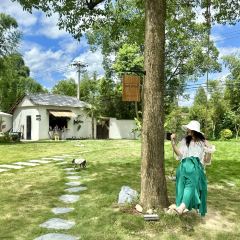 holymen后门儿咖啡店 User Photo