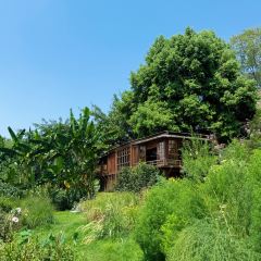 介个院子·草坪团建·围炉冰粉 User Photo