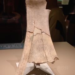 解家河南菜(金水路店) User Photo