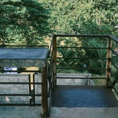 The Rectangle Coffee X Tower 여행 사진