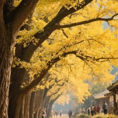 TIE GUO NIAN DAI User Photo