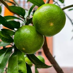 紫阳牛肉麦虾 User Photo