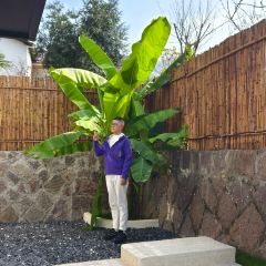 LATITUDE 여행 사진