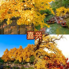 中街吊炉饼鸡蛋糕小吃部 User Photo