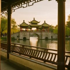 NI HON RYOU RI User Photo