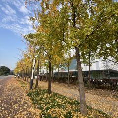 袁姐萝卜饺子(中山路店) User Photo