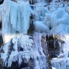 颍阳水席(登封店) User Photo