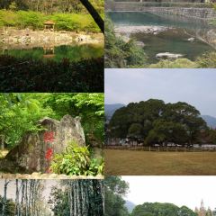 聚春園(南后街店)張用戶圖片