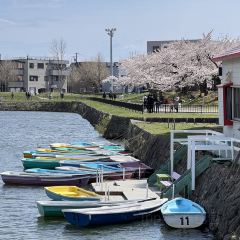 Menchuubo Ajisai Main Branch User Photo