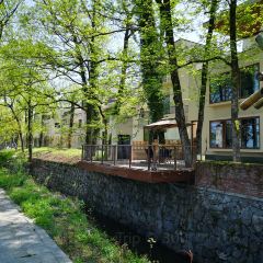 黄山梦溪别院·森林度假酒店(西溪南古村落店)·餐厅 여행 사진