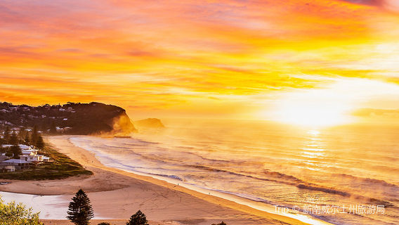 Dorrigo National Park
