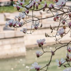 麥當勞（常州西瀛裡店）張用戶圖片