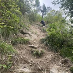 前良麦镬 User Photo