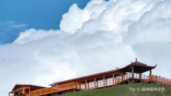 Colorful Forest International Tourism Resort - Viewing Platform