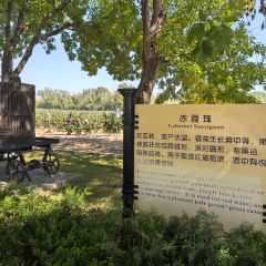 龙谕酒庄·餐饮部 User Photo