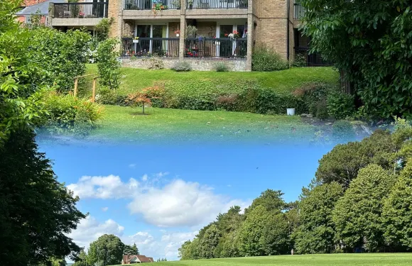 Greens Bar & Kitchen