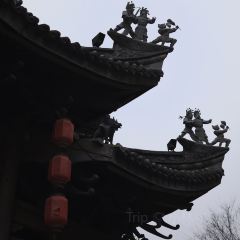 Shang Palace 여행 사진
