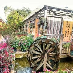 912张宜花园餐厅 User Photo