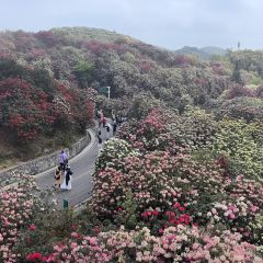 烙鍋小院張用戶圖片