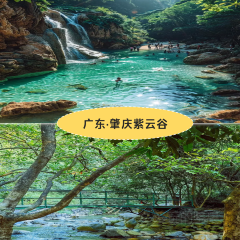 廣西崇左祕境麗世度假村·良食餐廳張用戶圖片