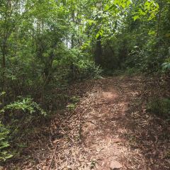 山涧别院 User Photo