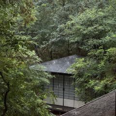 SHINKAI 여행 사진