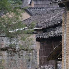 山里人家(黄尾立交桥店) User Photo