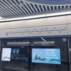冬芳蛋饼 User Photo