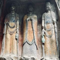 中国柠檬小镇 User Photo