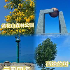 YUXIJI ZHENG QI HUO GUO User Photo