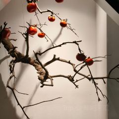 久宴·天目湖大魚頭(公園玖號恐龍園升級店)張用戶圖片