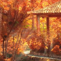 XIEXIAOJIU HOTPOT User Photo