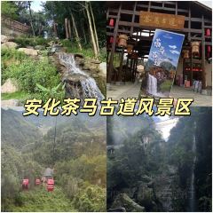 SHANGXILEICHA User Photo