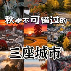 秀嫂挞粿 User Photo