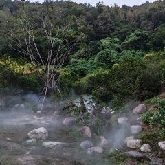 枇杷熟了coffee User Photo