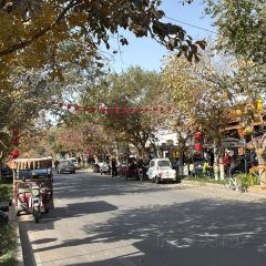 阿尔茶抓饭店(原甜穆奇鸽子汤店) User Photo