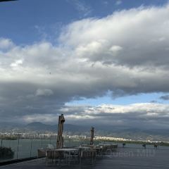 Black Swan Cafe User Photo