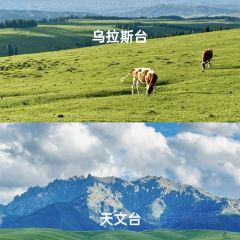 ZHENG FEI DAIRY User Photo