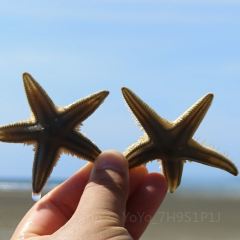 防城港白浪滩戴斯温德姆酒店·粤港轩中餐厅 User Photo