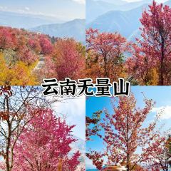 益和居·驢肉黃麵（鳴山北路店）張用戶圖片