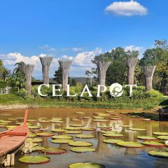 Celapot Café x Gallery เซลาพอต คาเฟ่ ครอส แกลลอรี่ ศิลาดล User Photo