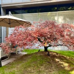 新荣记(虹桥店) User Photo