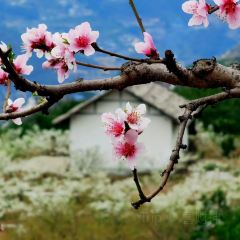 WU MENG SHAN 여행 사진