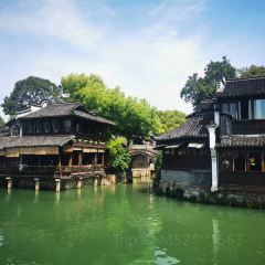 THE FOREST LIVE MUSIC 여행 사진