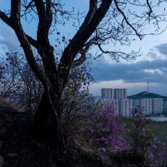壹家烧烤(荔园路店) User Photo