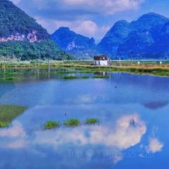 西贡咖啡(明仕店) User Photo