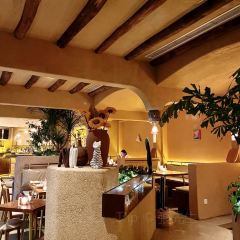 Hide&Seek User Photo